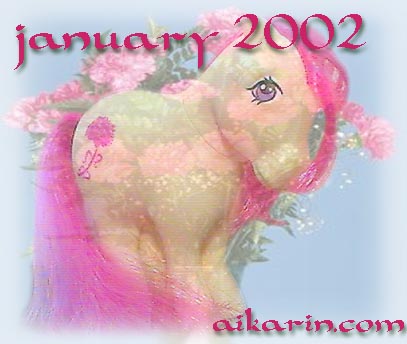 Carnation - January