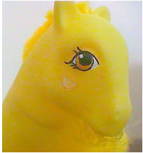 lemonade2.jpg (15494 bytes)